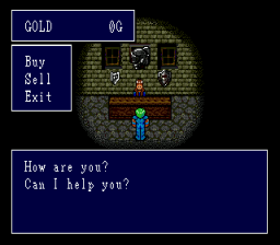 Sorcerer's Kingdom screenshot 3 for Sega Mega Drive
